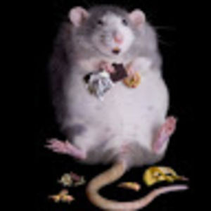 Meet your Posher, Adalyn